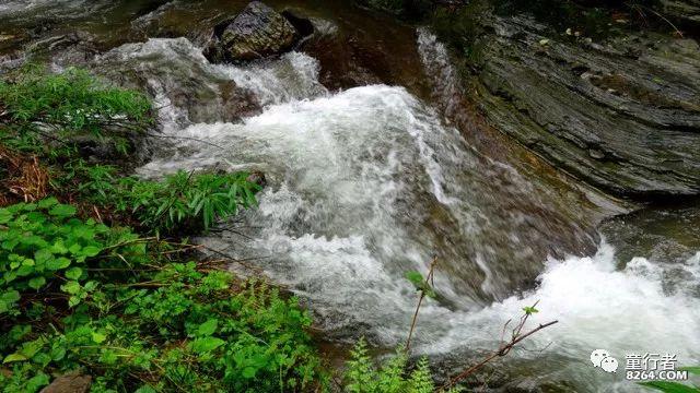 拼多多发货地址怎么看知识星球-专注知识分享与交流平台